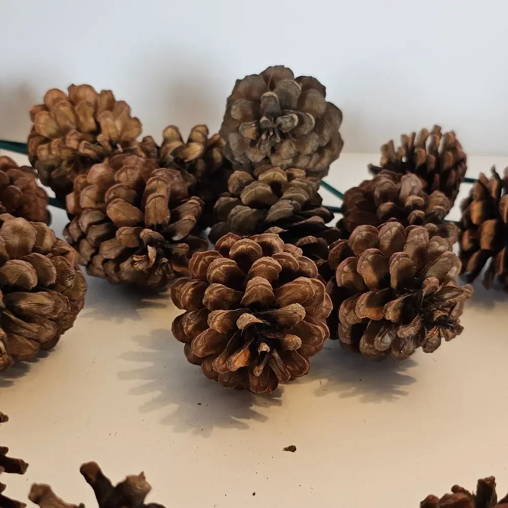 30 Natural Pine Cone Floral Picks 7in Green Wood Stems Wreath Craft Rustic Decor